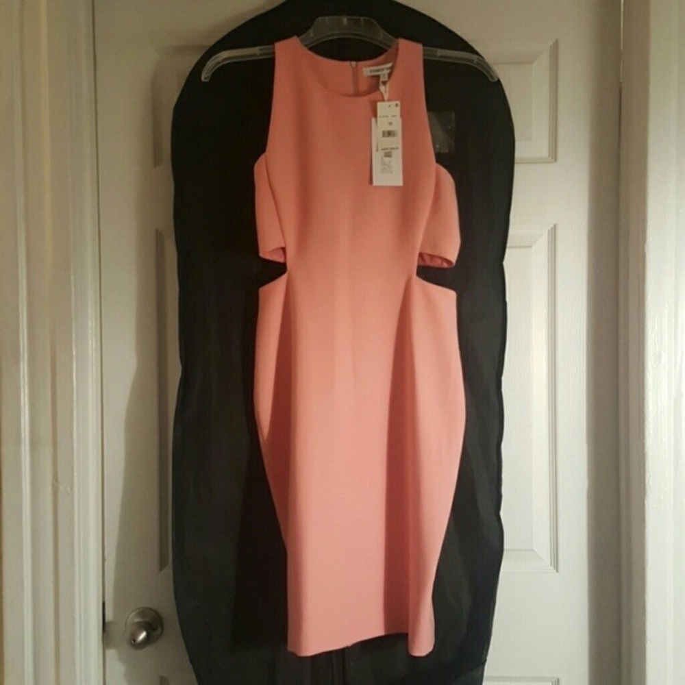 Elizabeth and James  "Phoenix" Dress Size 10 (No Tags)